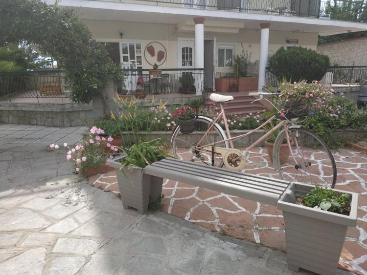 Aquarius Hotel فوركا المظهر الخارجي الصورة
